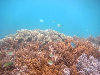 20130428_3.jpg