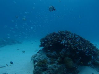 20130505_3.jpg