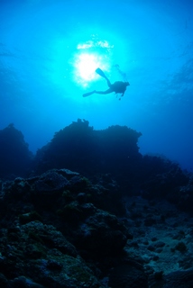 20131023_2.jpg