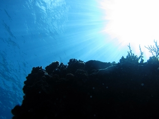 20140704_1.JPG