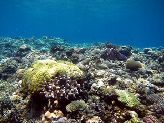 20140704_2.JPG