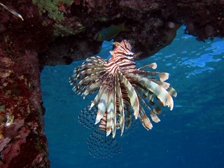 20140704_3.JPG