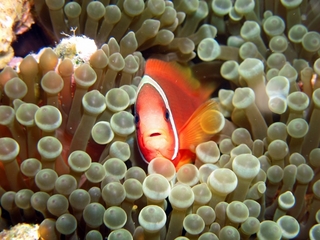 20140704_4.JPG
