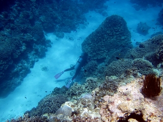 20140704_5.JPG