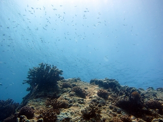 20140704_6.JPG