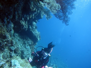 20140704_7.JPG