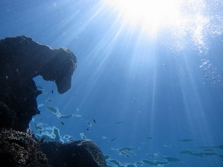 20140704_8.JPG
