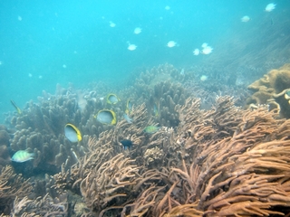 20140921_2.JPG