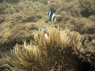 20140921_4.JPG