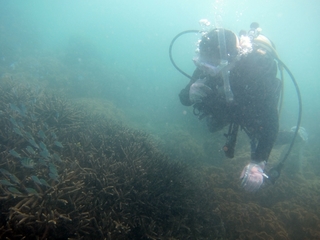 20140921_8.JPG