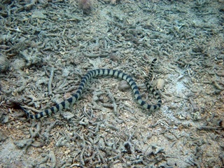20150620_4.JPG