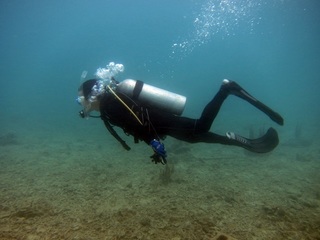 20150620_6.JPG