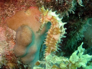 20150620_7.JPG