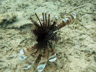 20150621_1.JPG