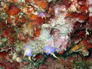 20150621_2.JPG