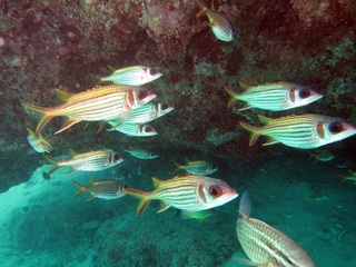 20150621_6.JPG