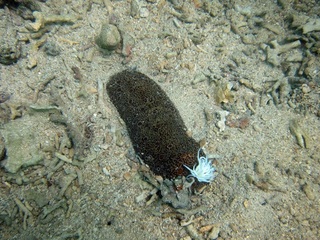 20150730_5.JPG