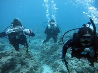 20161110_1.JPG