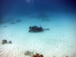 20161110_11.JPG