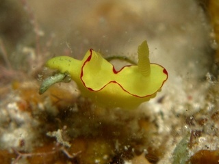 20161110_3.JPG