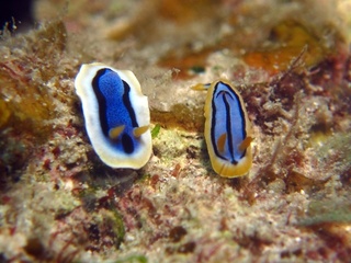 20161110_4.JPG