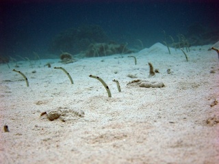 20161110_8.JPG