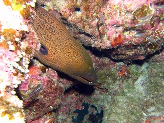 20161110_9.JPG