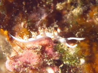 20161111_4.JPG