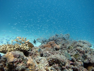 20161111_5.JPG