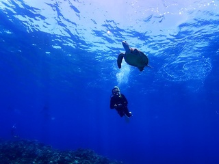 20170811_13.JPG