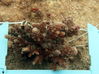 20180118_6.JPG