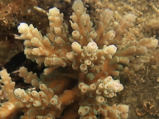 20180118_9.JPG