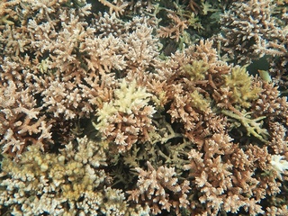 20180124_2.JPG