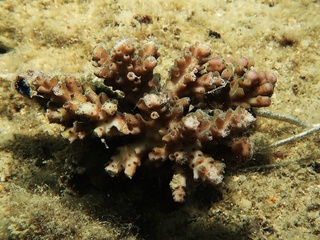 20180124_4.JPG
