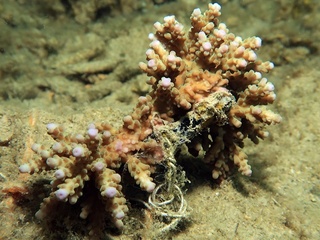 20180223_6.JPG