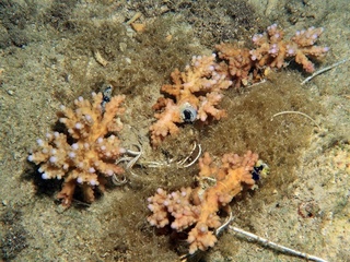 20180425_10.JPG