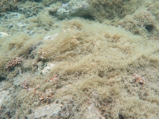 20180425_3.JPG