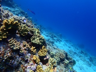 20180428_1.JPG