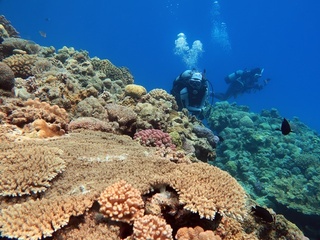 20180809_6.JPG