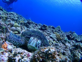 20180920_4.JPG