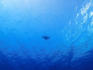 20181018_2.JPG