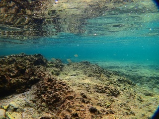 20181112_10.JPG
