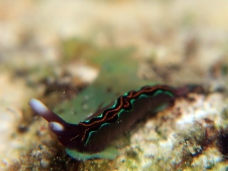 20181230_3.JPG