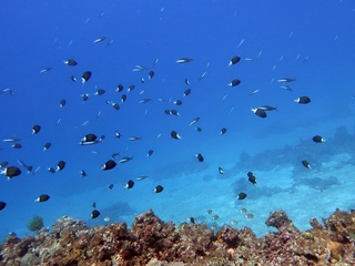 20190118_1.JPG