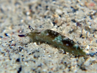 20190118_7.JPG