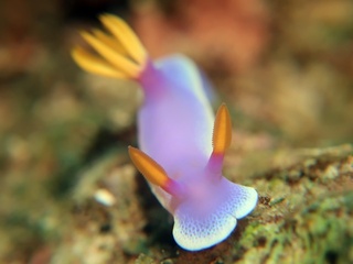 20190130_4.JPG