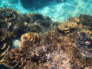 20190302_0.JPG