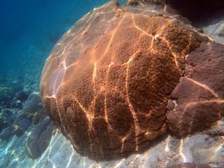 20190302_2.JPG