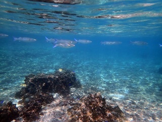20190302_4.JPG