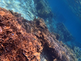 20190302_5.JPG